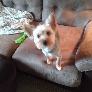 Meet your Posher, Tracy